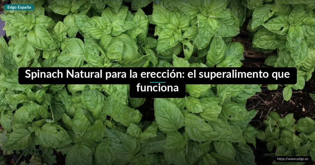 Spinach Natural para la erección: el superalimento que funciona